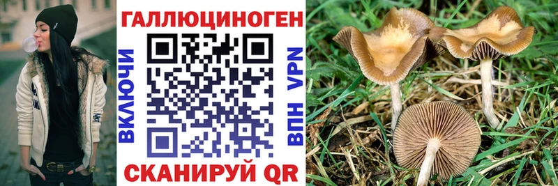 Псилоцибиновые грибы мухоморы  Солнечногорск 