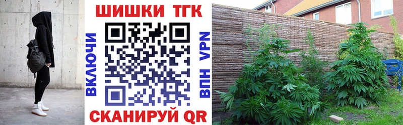 где купить наркоту  Солнечногорск  Каннабис SATIVA & INDICA 